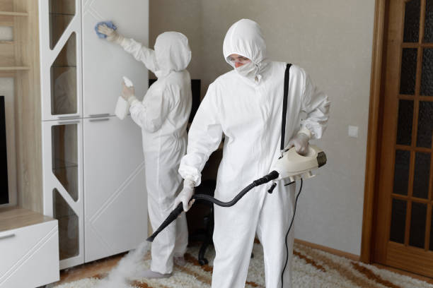 Best Post-Flood Mold Remediation in Newton, NJ