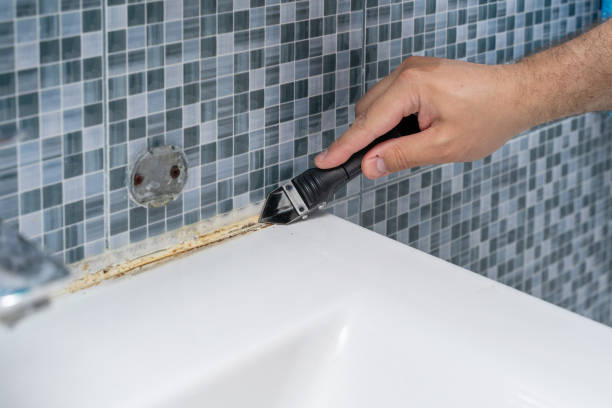 Reliable Newton, NJ Mold Remediation Solutions