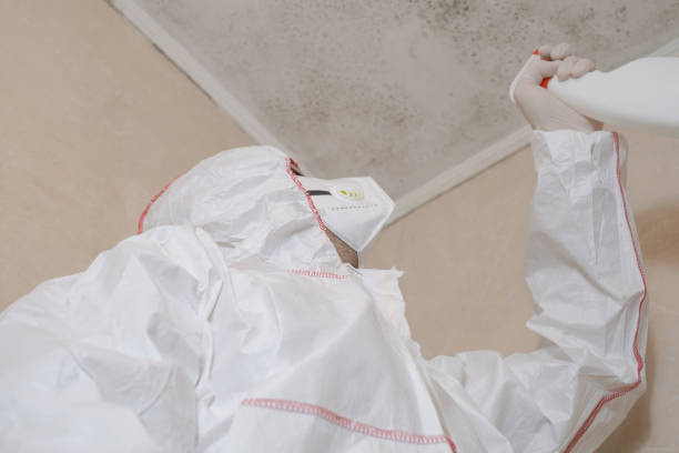 Best Emergency Mold Remediation in Newton, NJ